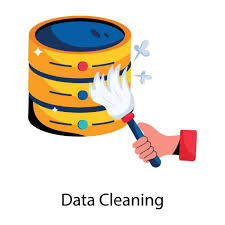 Data Cleaning & Structuring