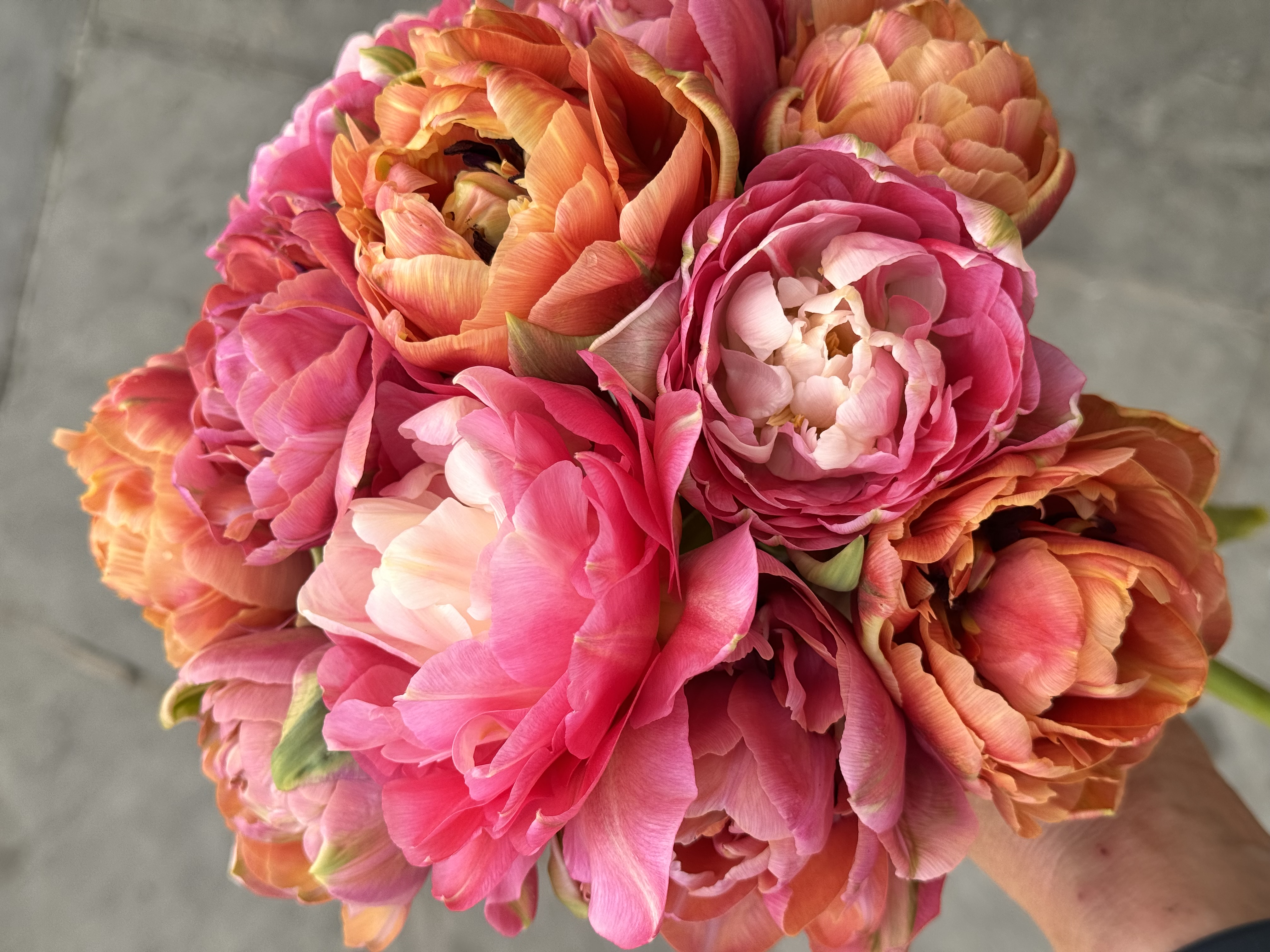 Pink Tulip Bouquet