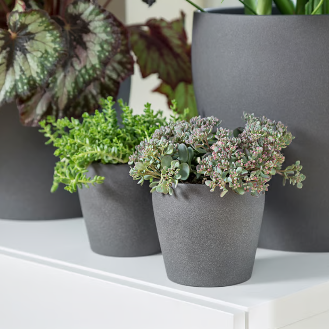 Matera Gris Acabado decorativo