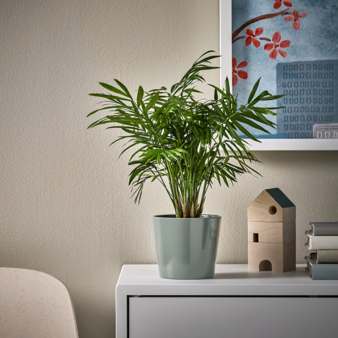 Set de 2 Materas, gris con verde