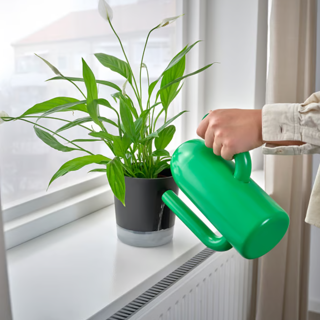 Matera con autorriego