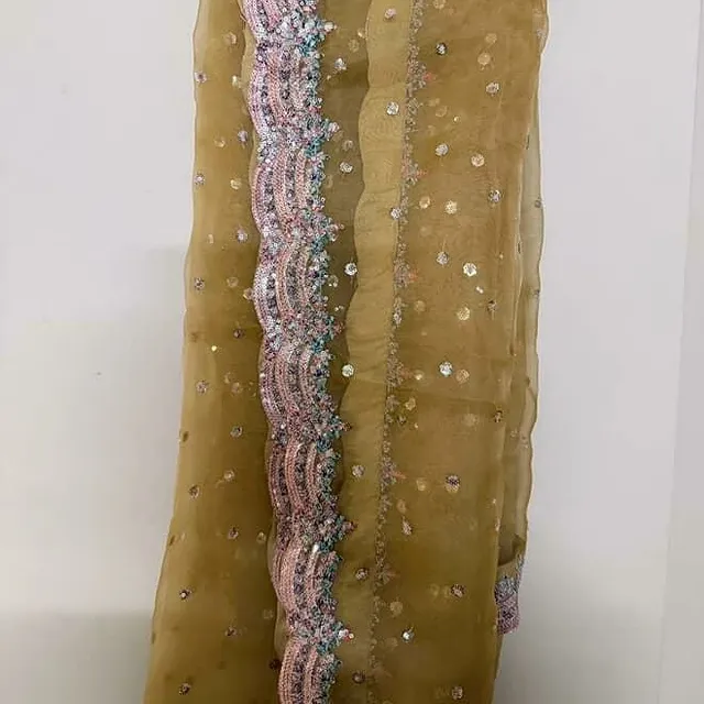 Golden Sequin Embroidered Saree