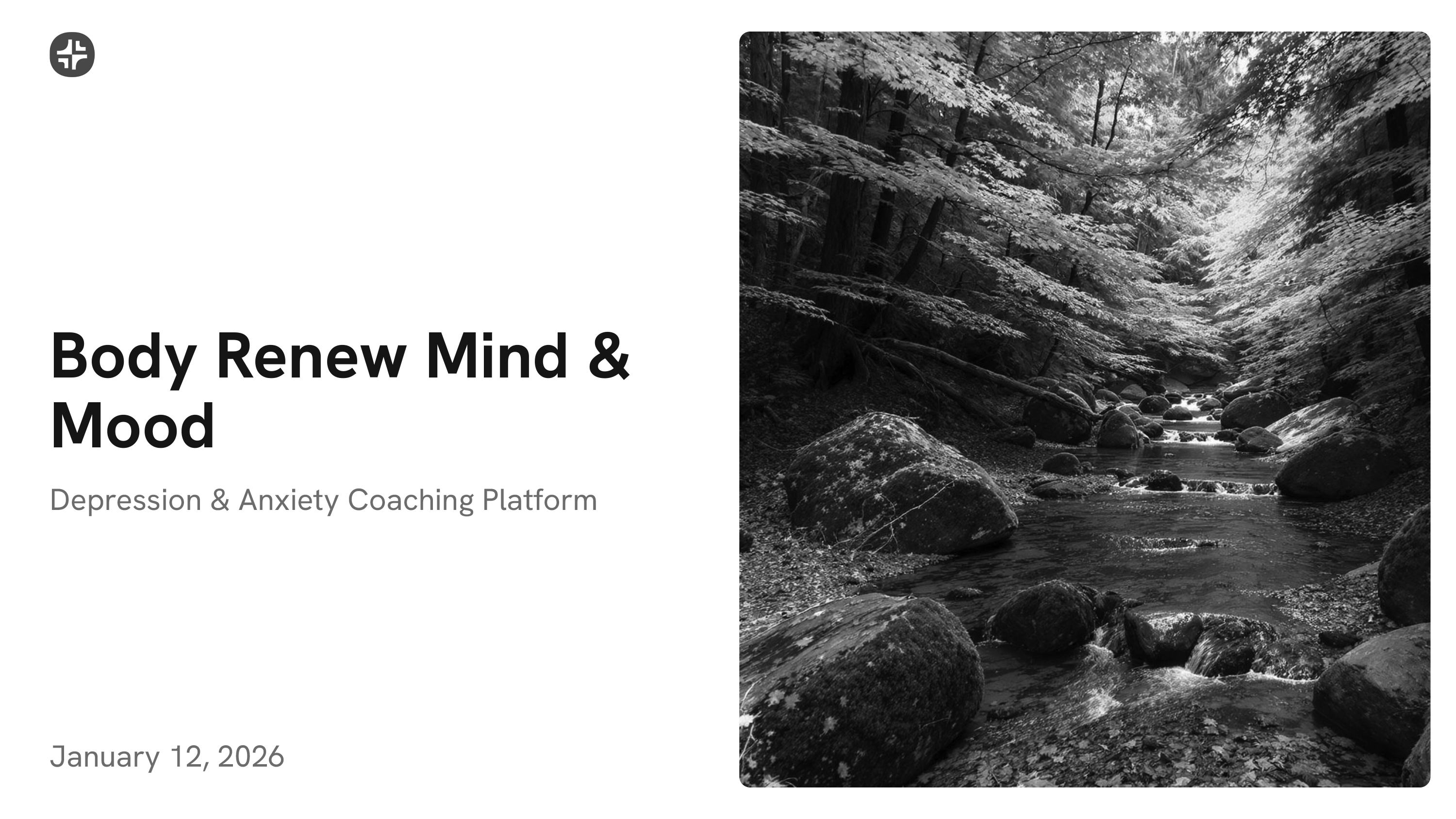 Body Renew Mind & Mood Depression and Anxiety Coaching Program