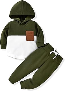 Toddler Hooded Sweatshirt and Pants Set