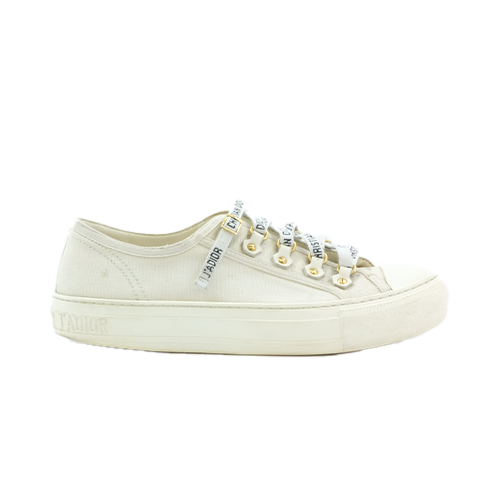 Dior Sneaker Canvas Restoration