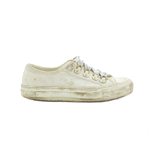 Dior Sneaker Canvas Restoration