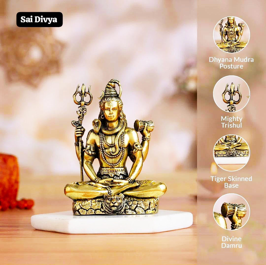 Sai Divya Lord Shiva Ashtadhatu-Brass Idol, Meditation Pose 