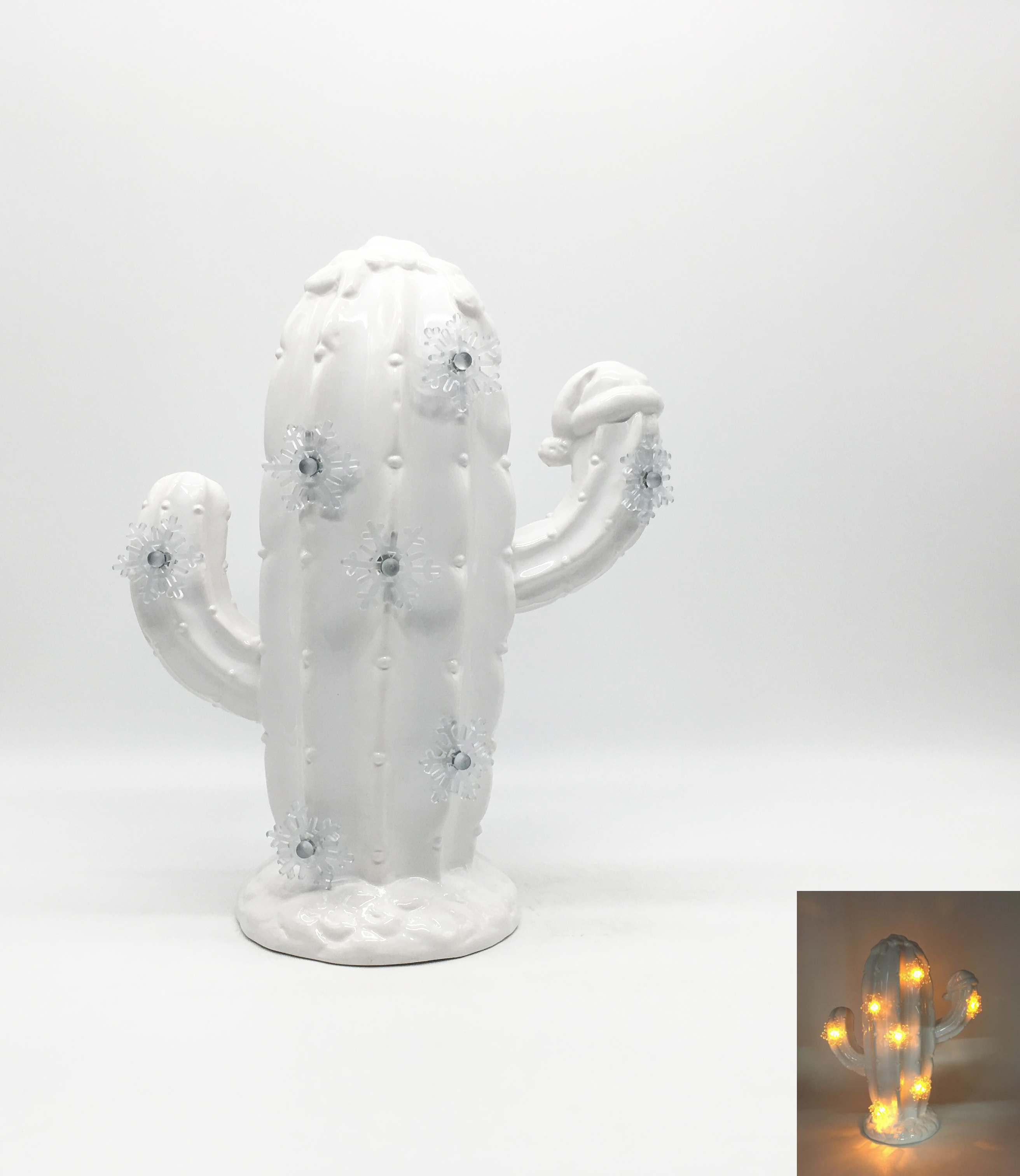 Ceramic Christmas Cactus