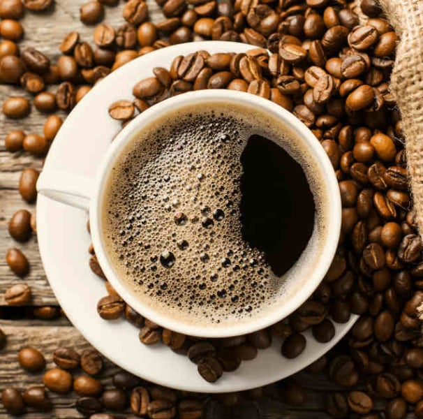 Café Morcego