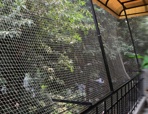 Outdoor Safety Wire Mesh Netting