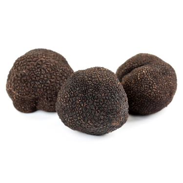 Tòfona negra (tuber melanosporum)
