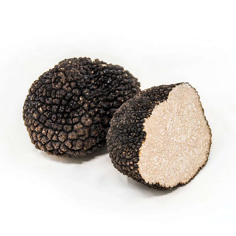 Tòfona d'estiu (tuber aestivum)