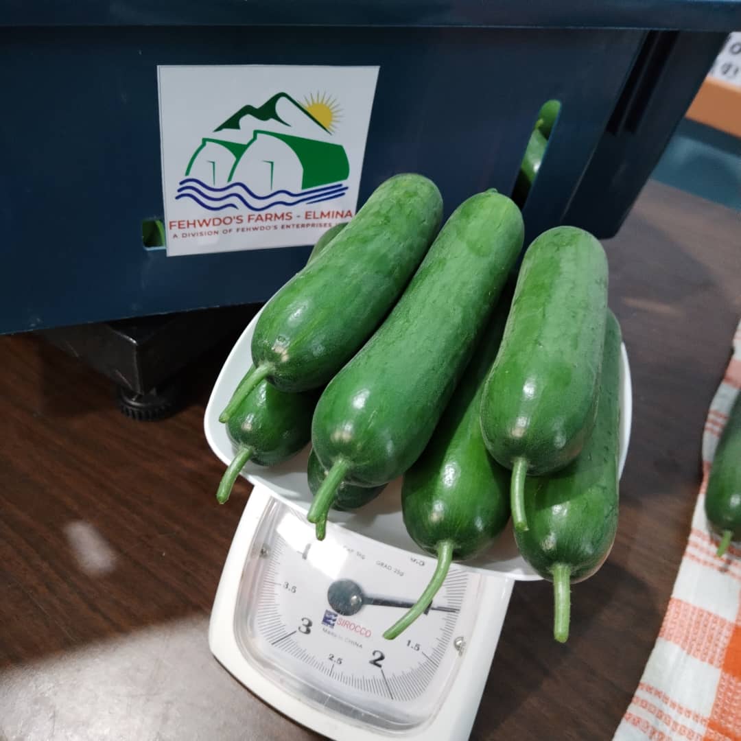 Mediterranean Snack Cucumbers