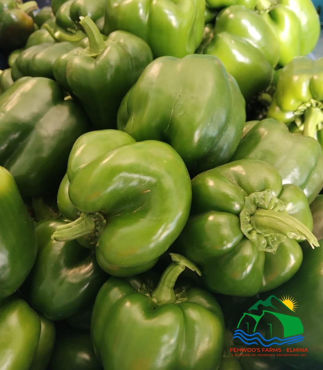 Green Bell Peppers