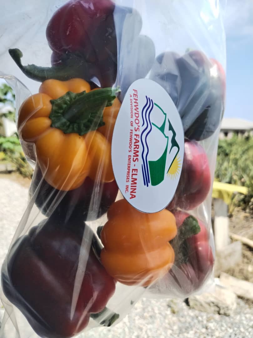 Colored Bell Peppers