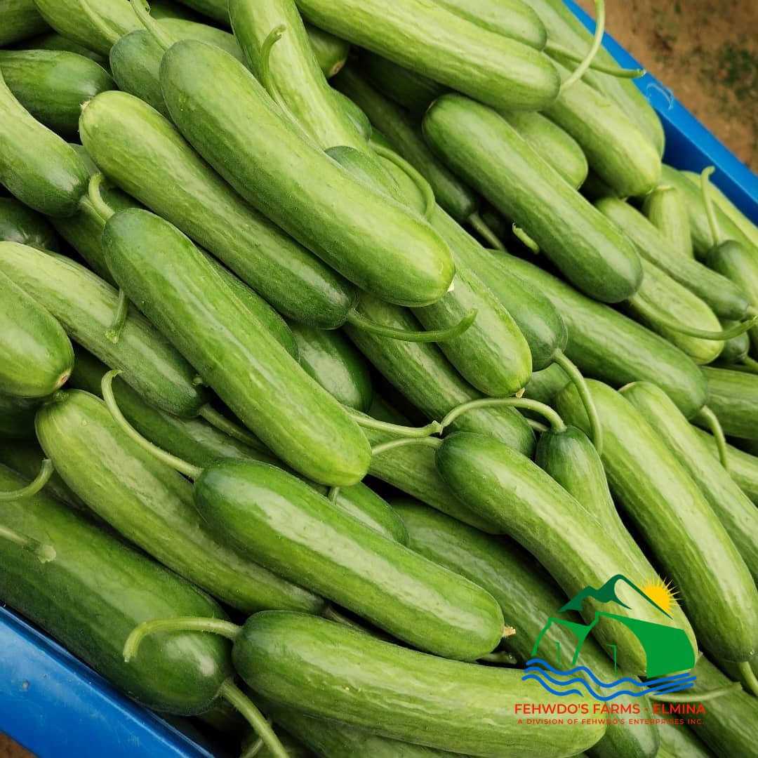 Mediterranean Snack Cucumbers
