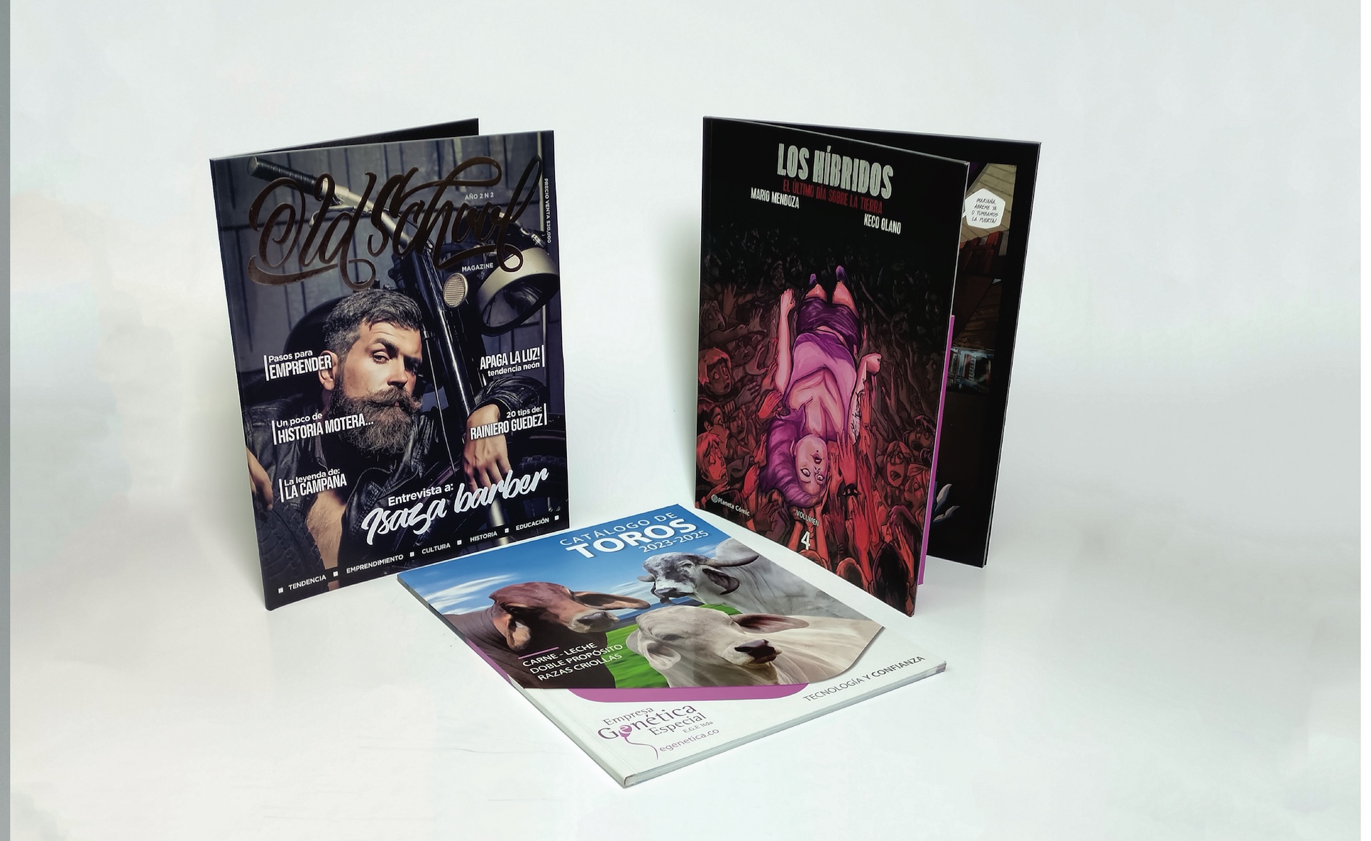 Revistas