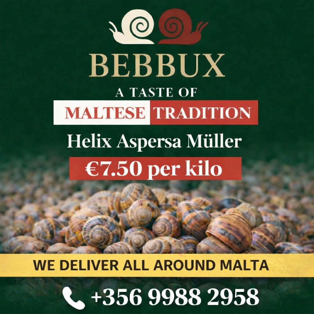 Helix Aspersa Muller