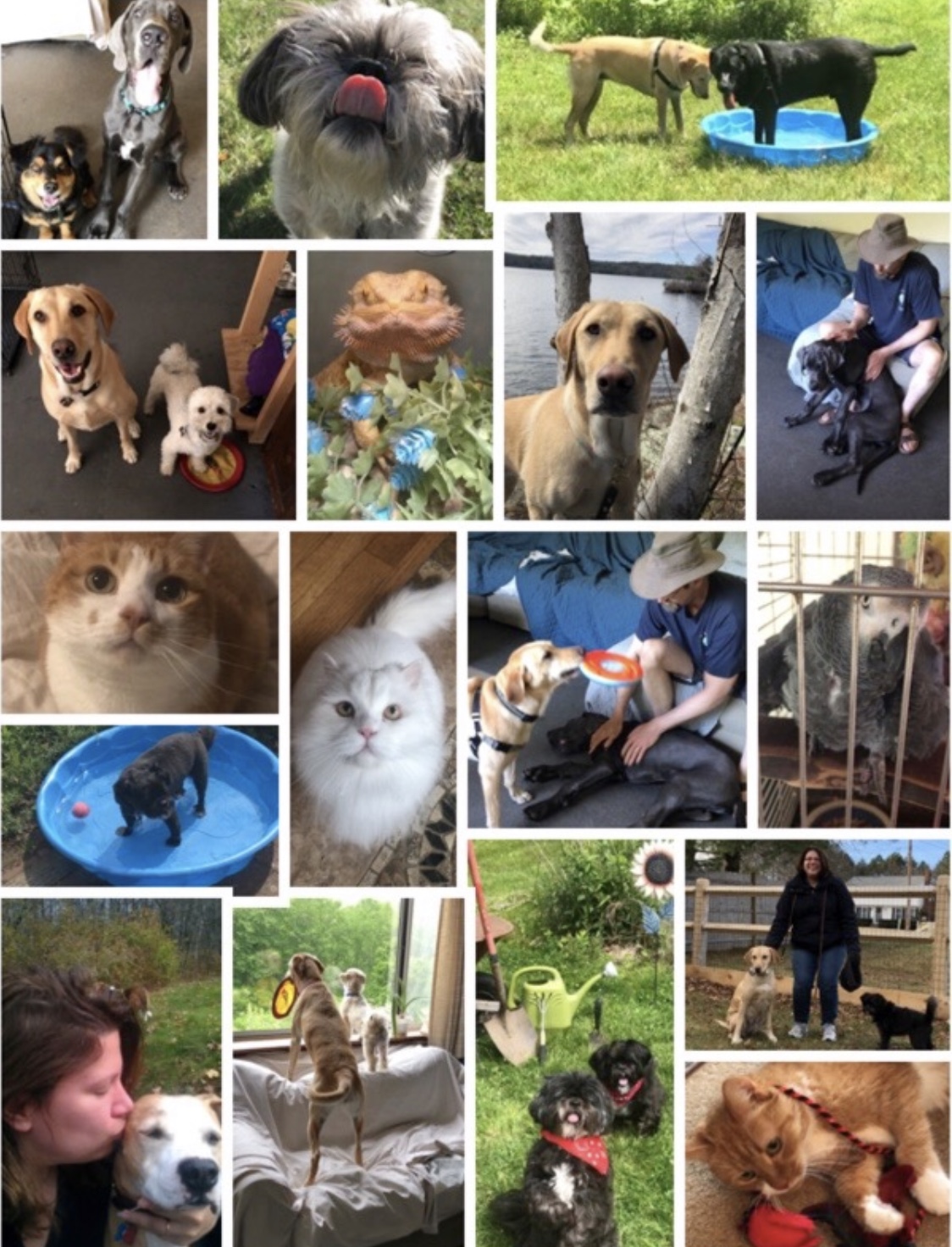 Custom Pet Photo Gifts (Ask for quotes $50 and up)