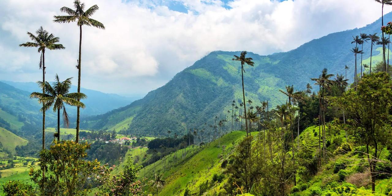 🇨🇴 Paquete Eje Cafetero – Tradición, Naturaleza & Café – 5 Días / 4 Noches