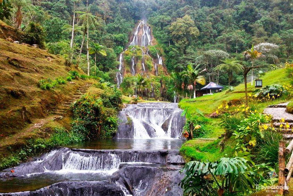 🇨🇴 Paquete Eje Cafetero – Tradición, Naturaleza & Café – 5 Días / 4 Noches