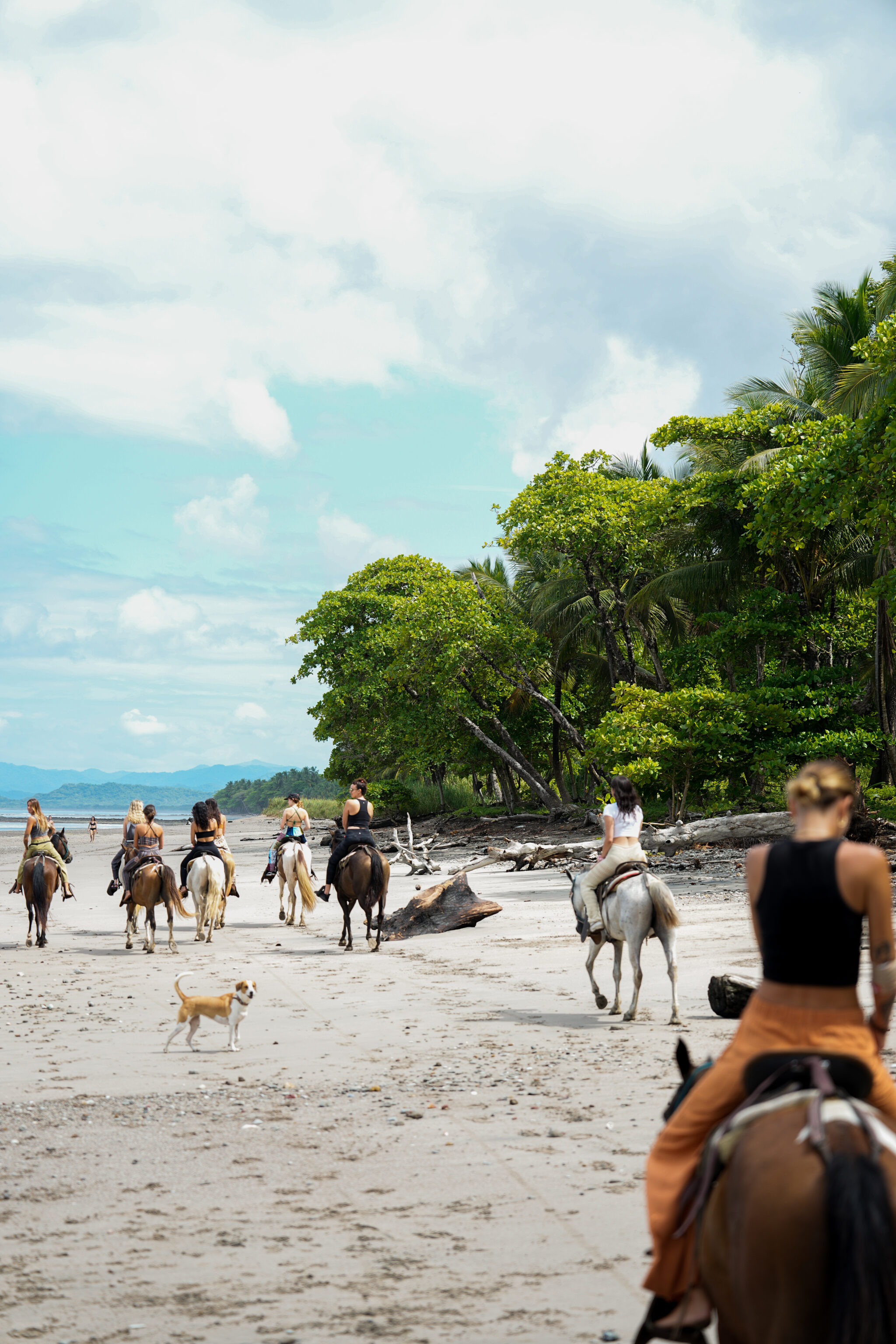 Sample Friends Getaway