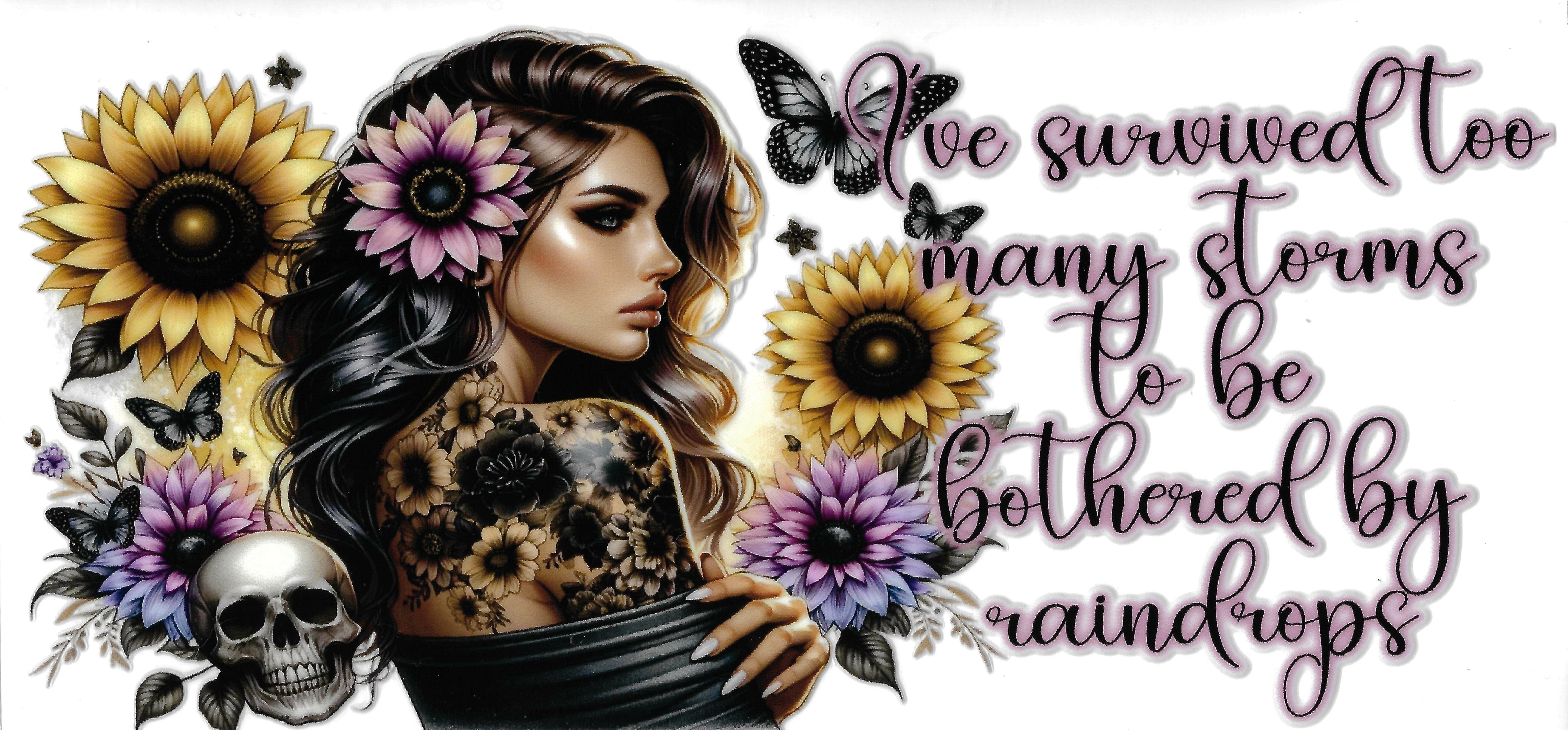 Too Many Storms To Be Bothered By Raindrops