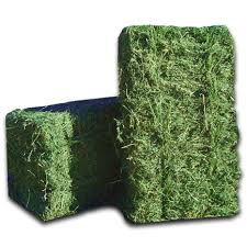 alfalfa fardo