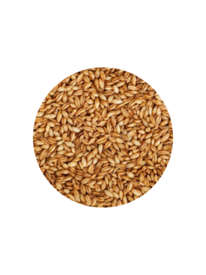 Semillas de cebada x 35 kg
