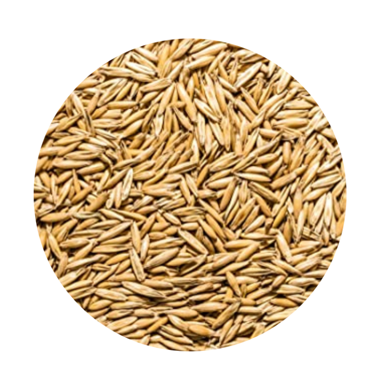 Semillas de avena forrajera x 30 kg