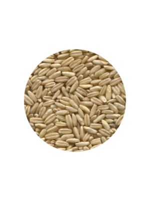 Grano de avena pelada x 30kg