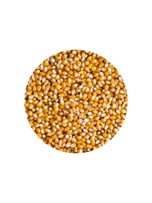 Maíz ENTERO X 30KG