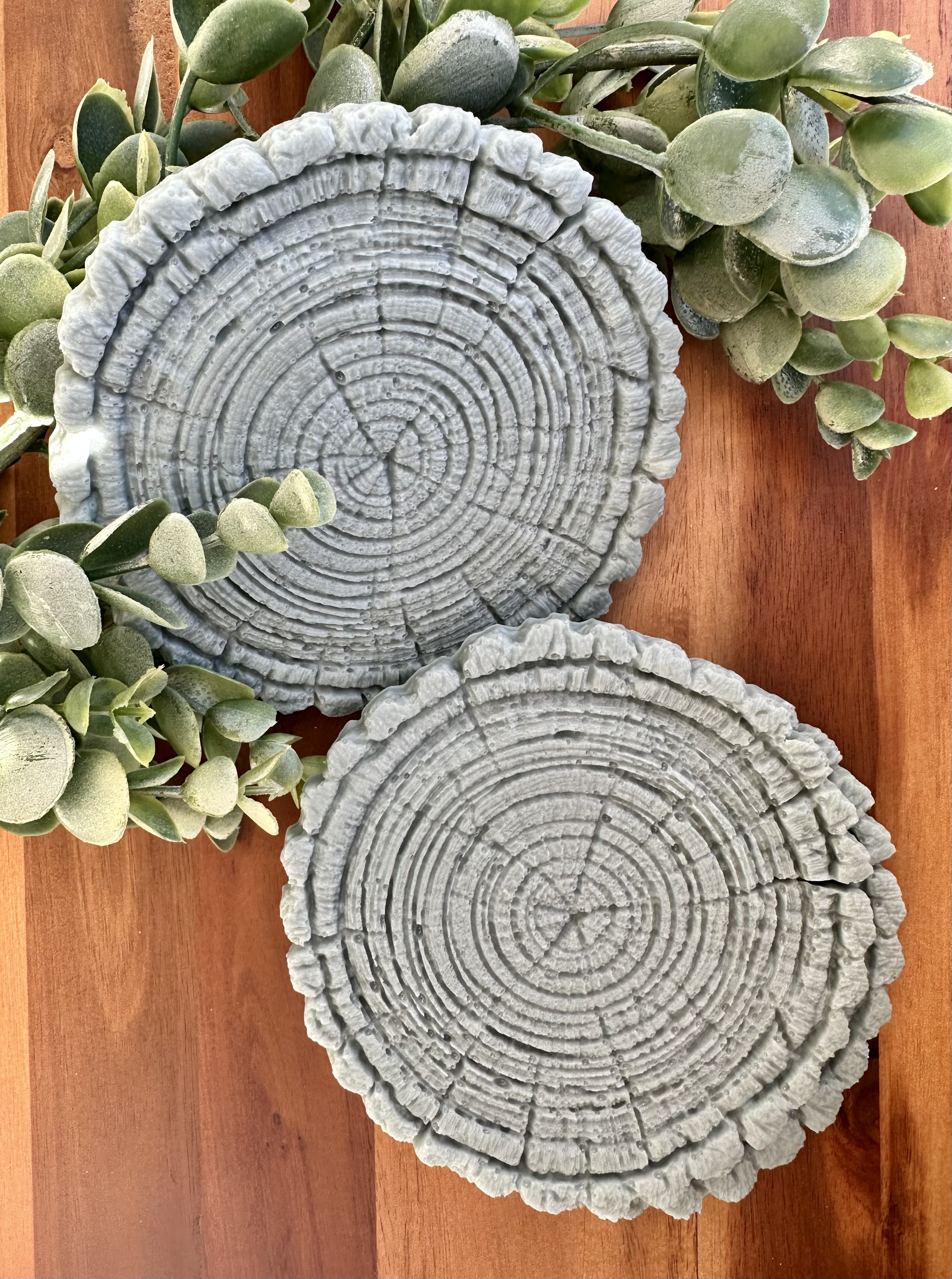Decorative Tree Ring Resin Coasters