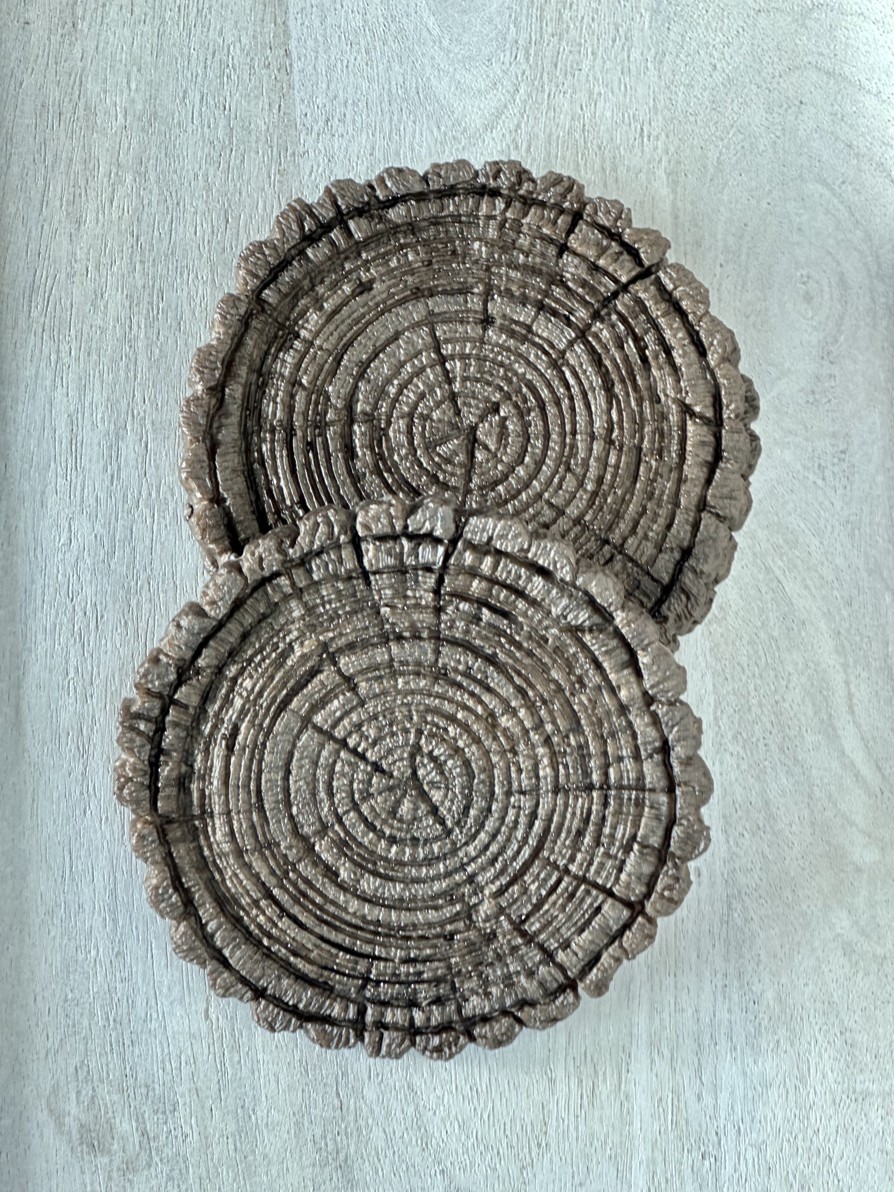 Decorative Tree Ring Resin Coasters