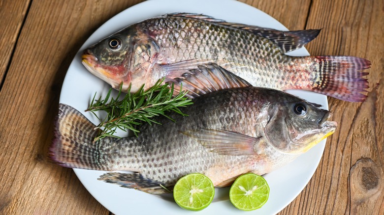 Tilapia Cleaned & Scaled - per KG