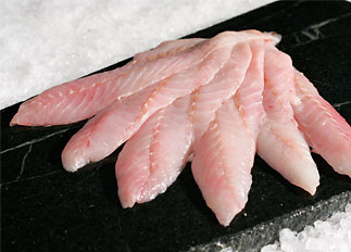 Red Snapper Fillet per KG