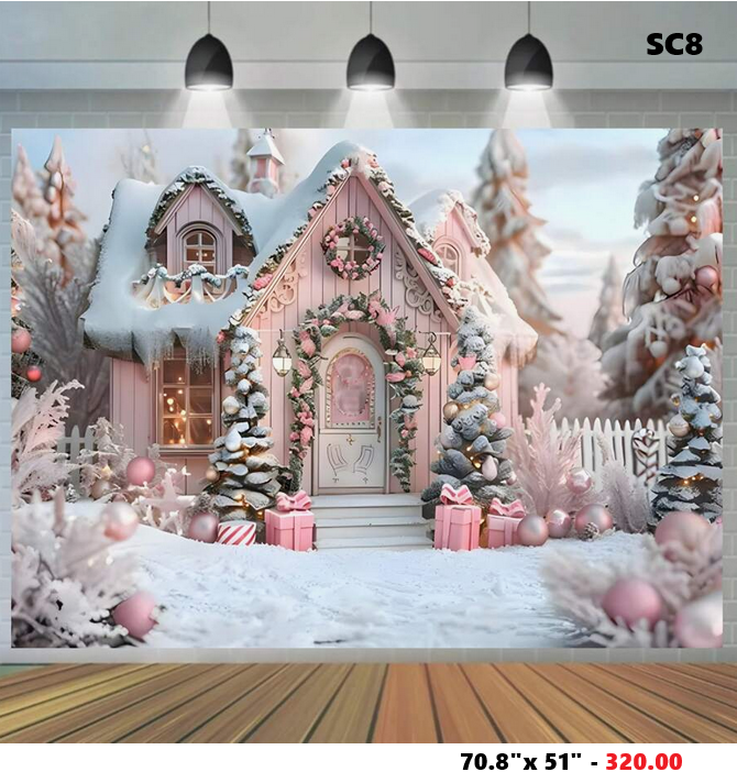 SC8 - Winter Wonderland Christmas Backdrop