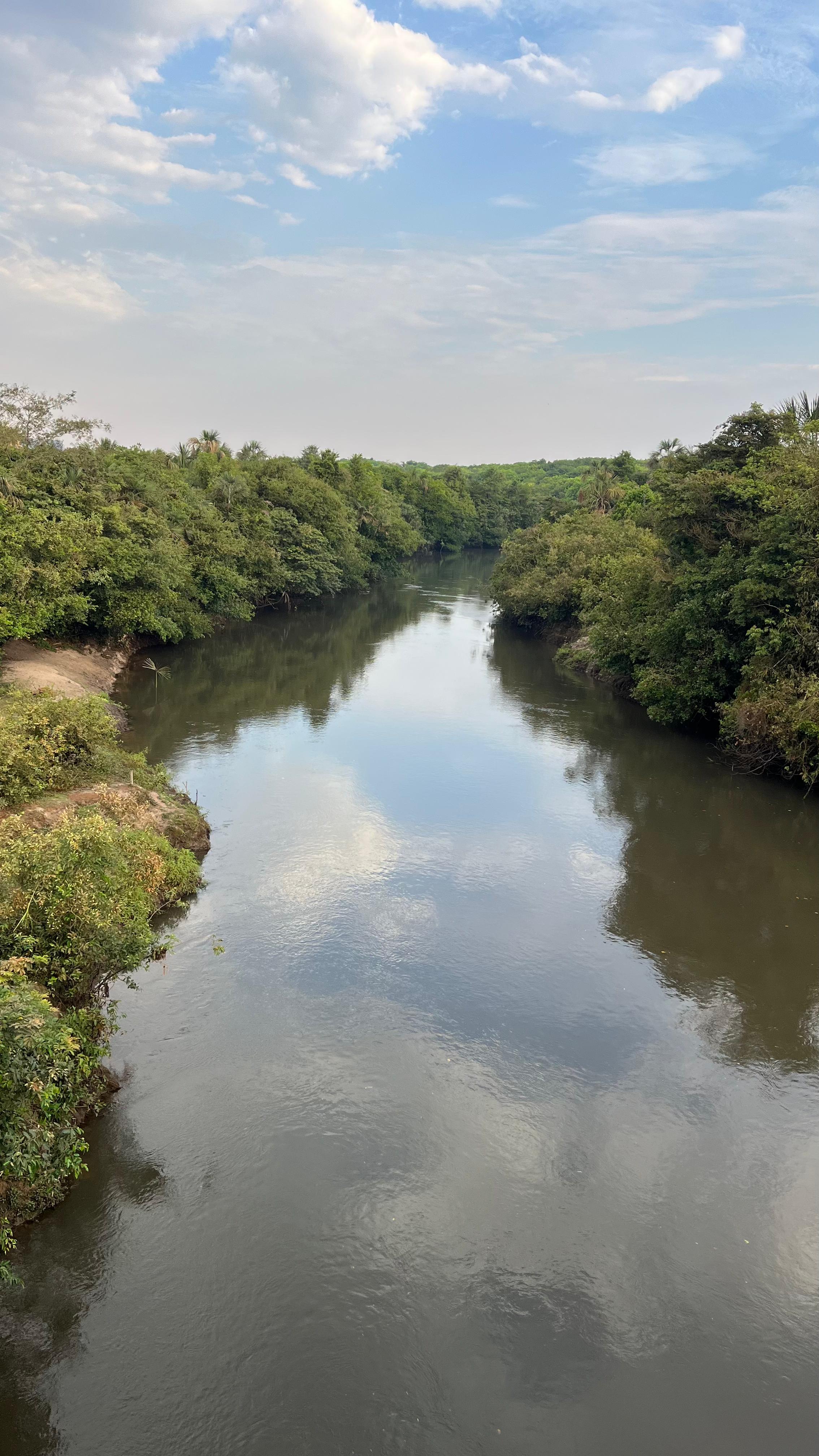 Sítio com 12 Hectares Região Campo Verde