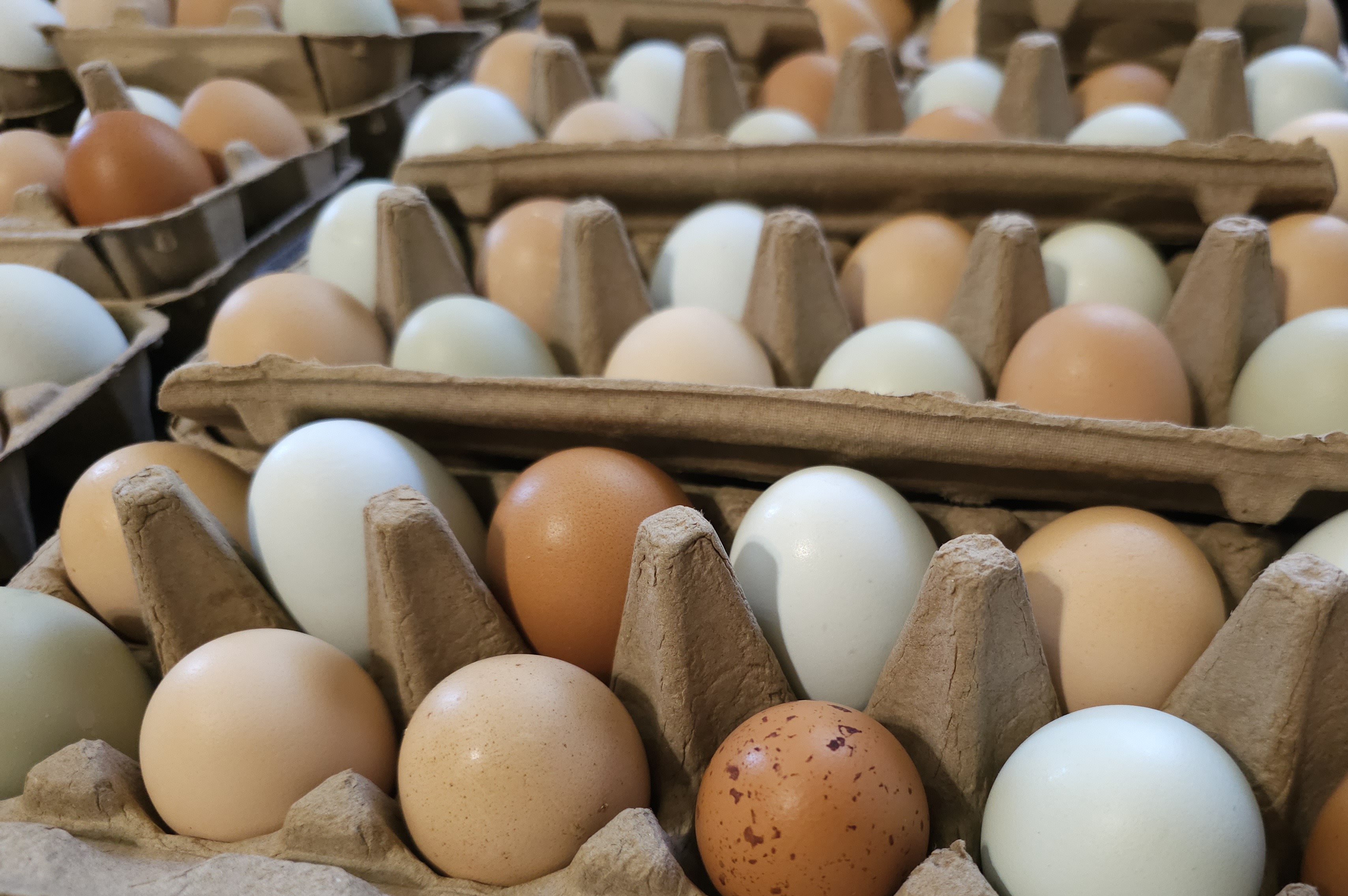 Cluckin' Quickie Chicken Eggs