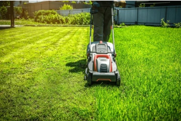 Lawn Maintenance & Landscaping.