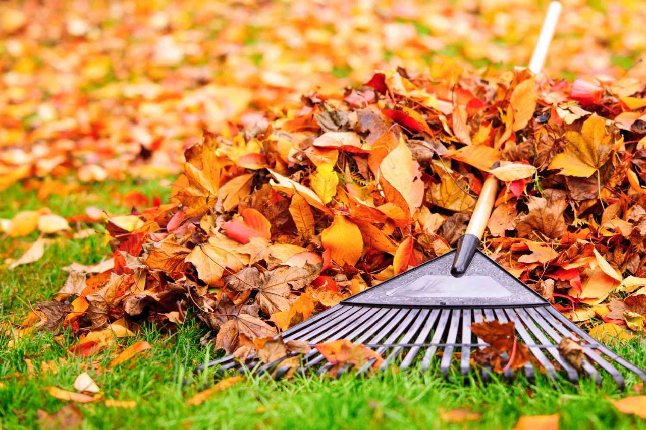 Seasonal Cleanup