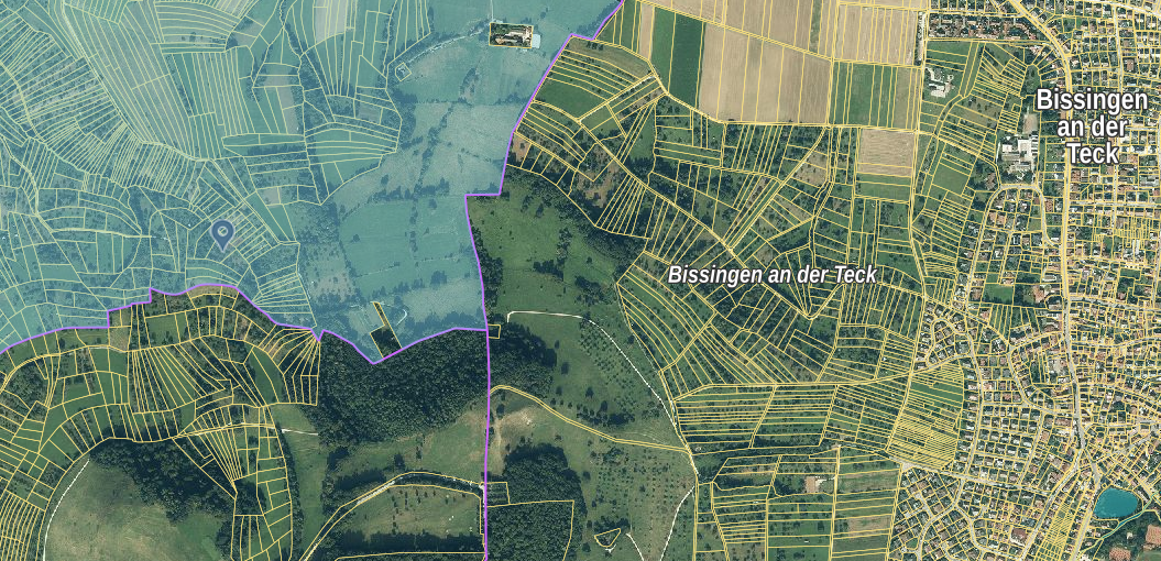 Dettingen unter Teck (Ghäu)  - Wiese 