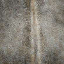 Cowhide Rug