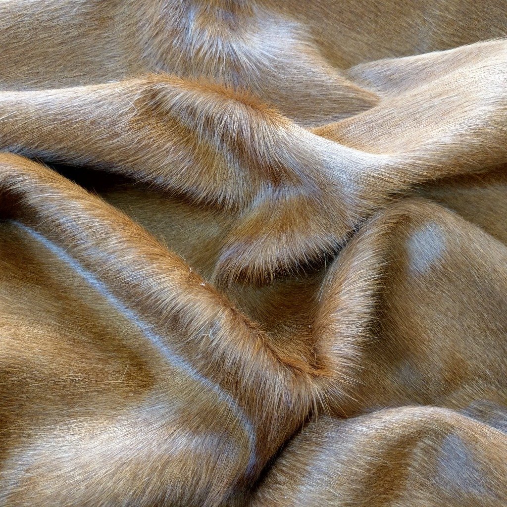 Cowhide Rug
