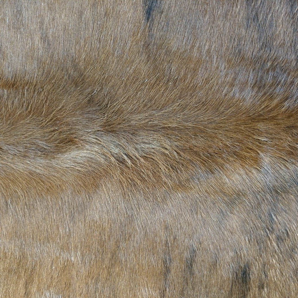 Cowhide Rug