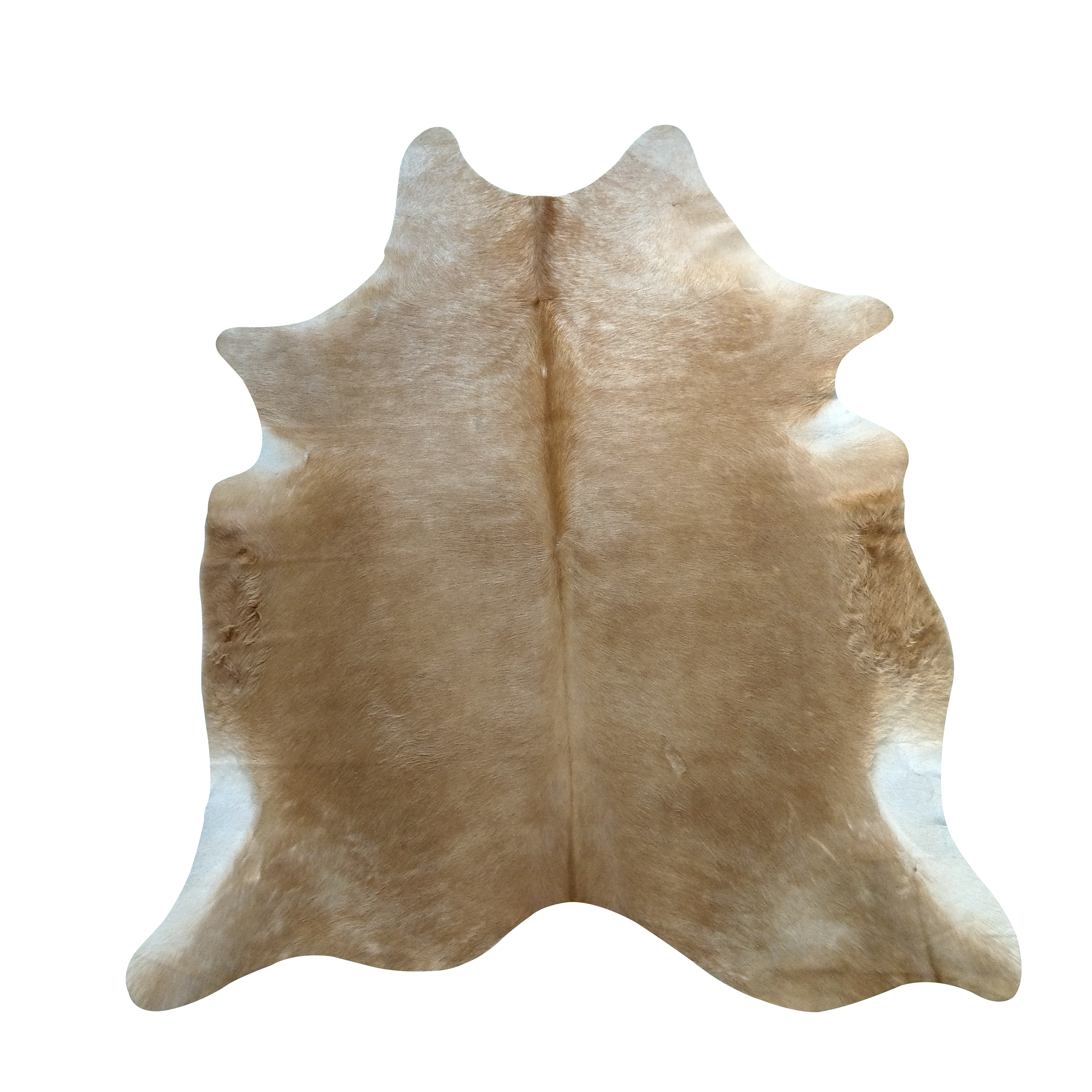 Cowhide Rug