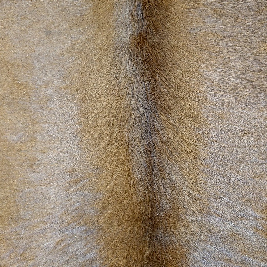 Cowhide Rug