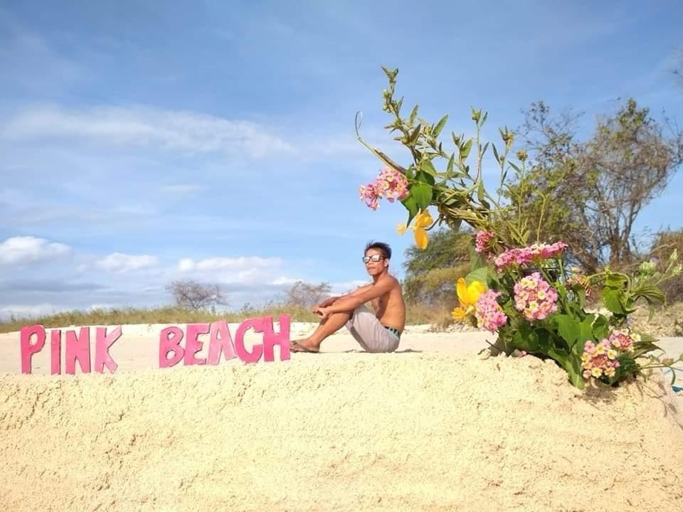 Day Trip Pink Beach