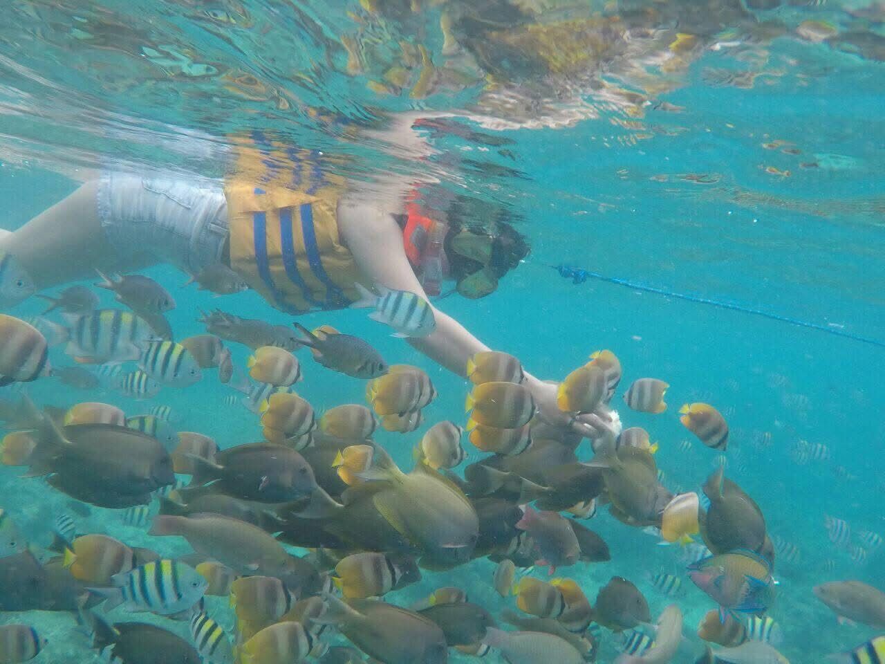The Secret Gili Island Tour