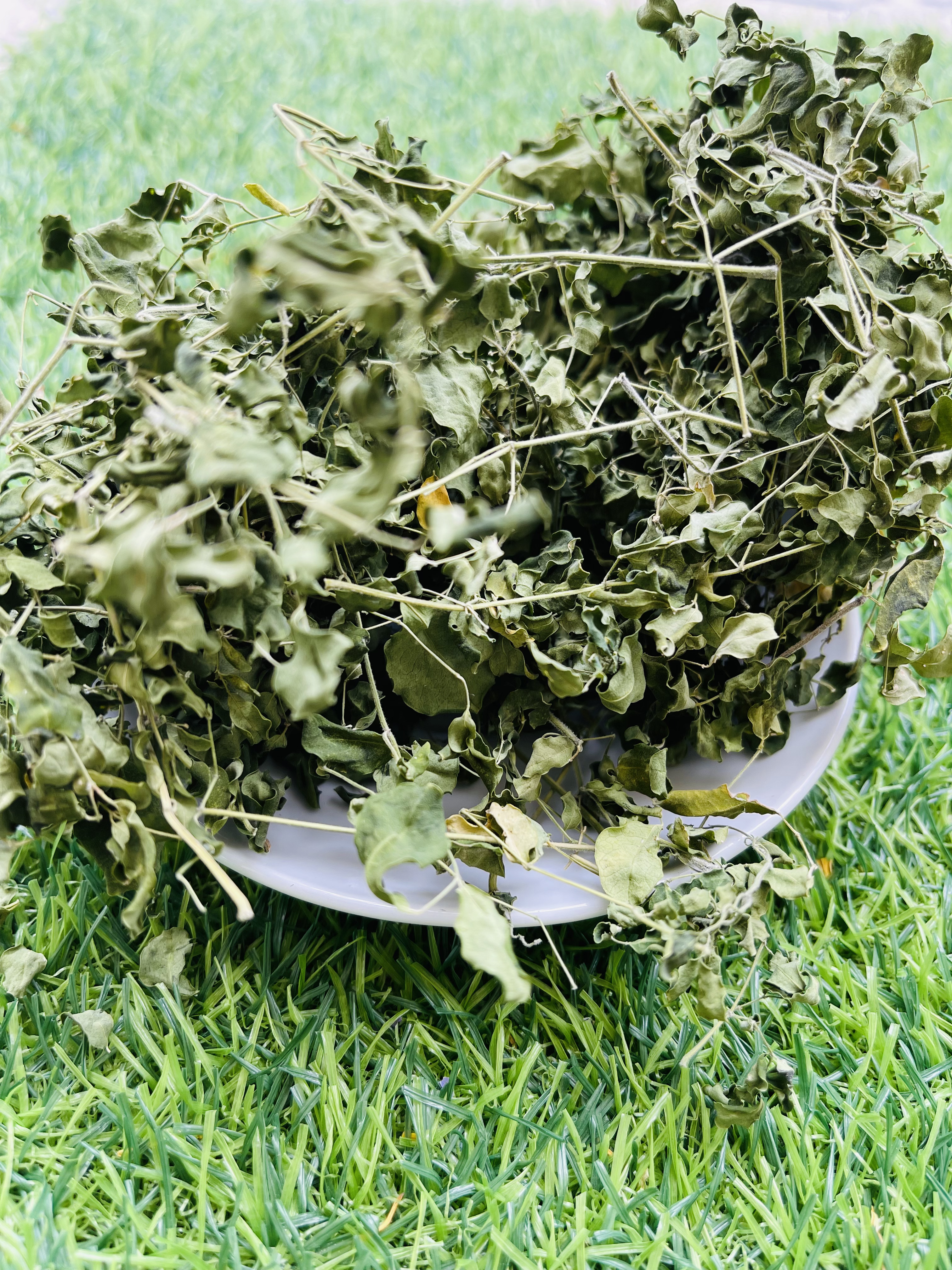 Dried Moringa Leaves